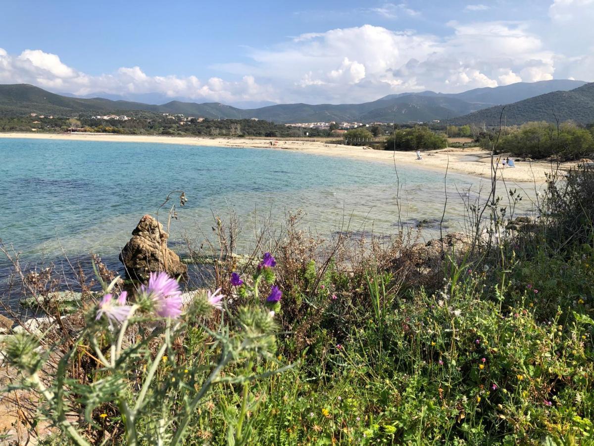 Villa A 900 M De La Plage De Lozari Belgodère Exterior foto